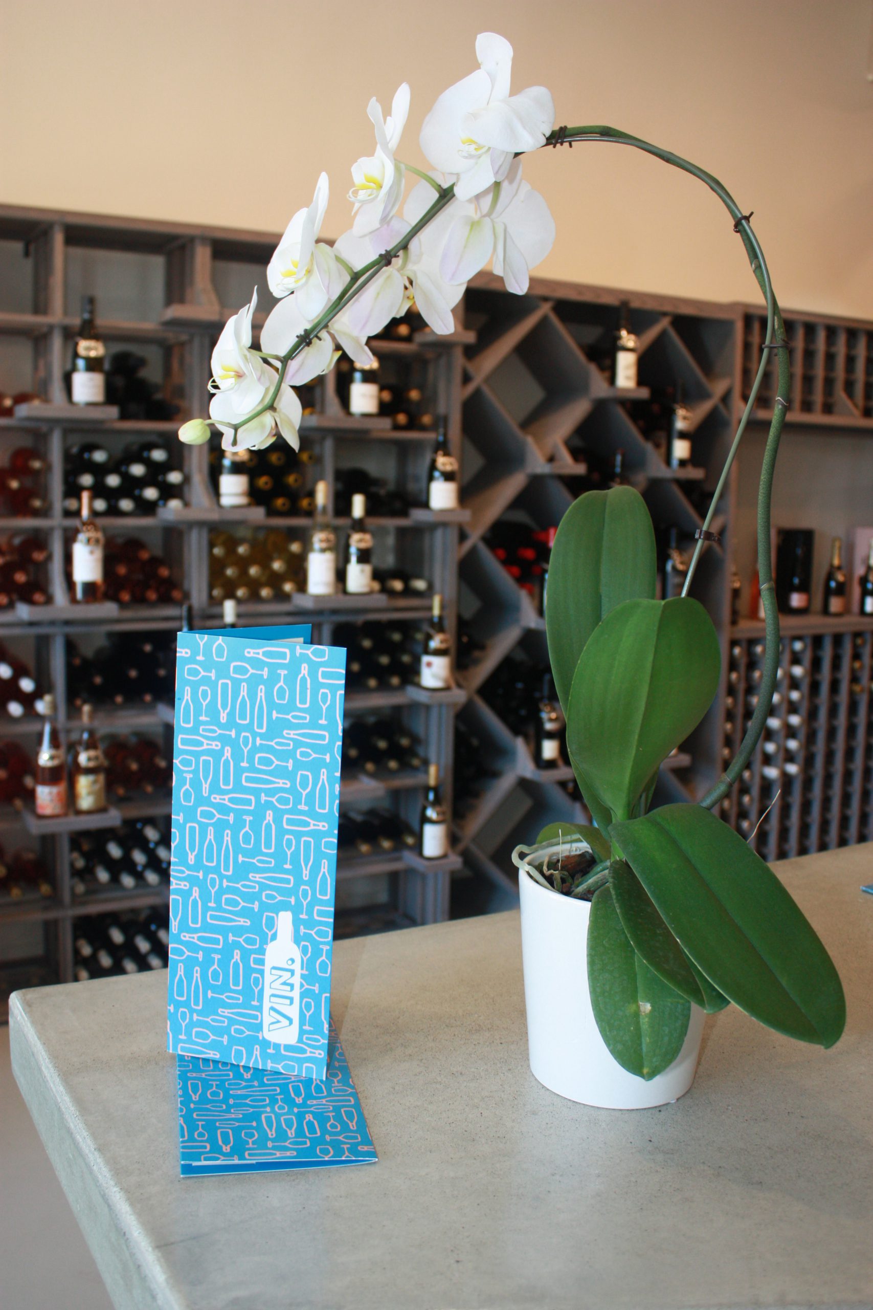 Featured Shop Vin Wine Bar + Bottle Boutique · Crossroads Carmel