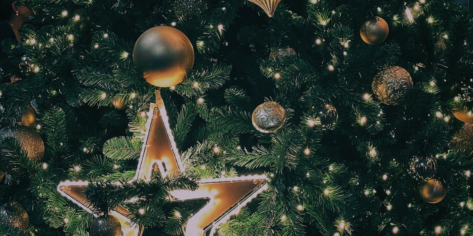 paul-js-aG12cv5gtkM-unsplash