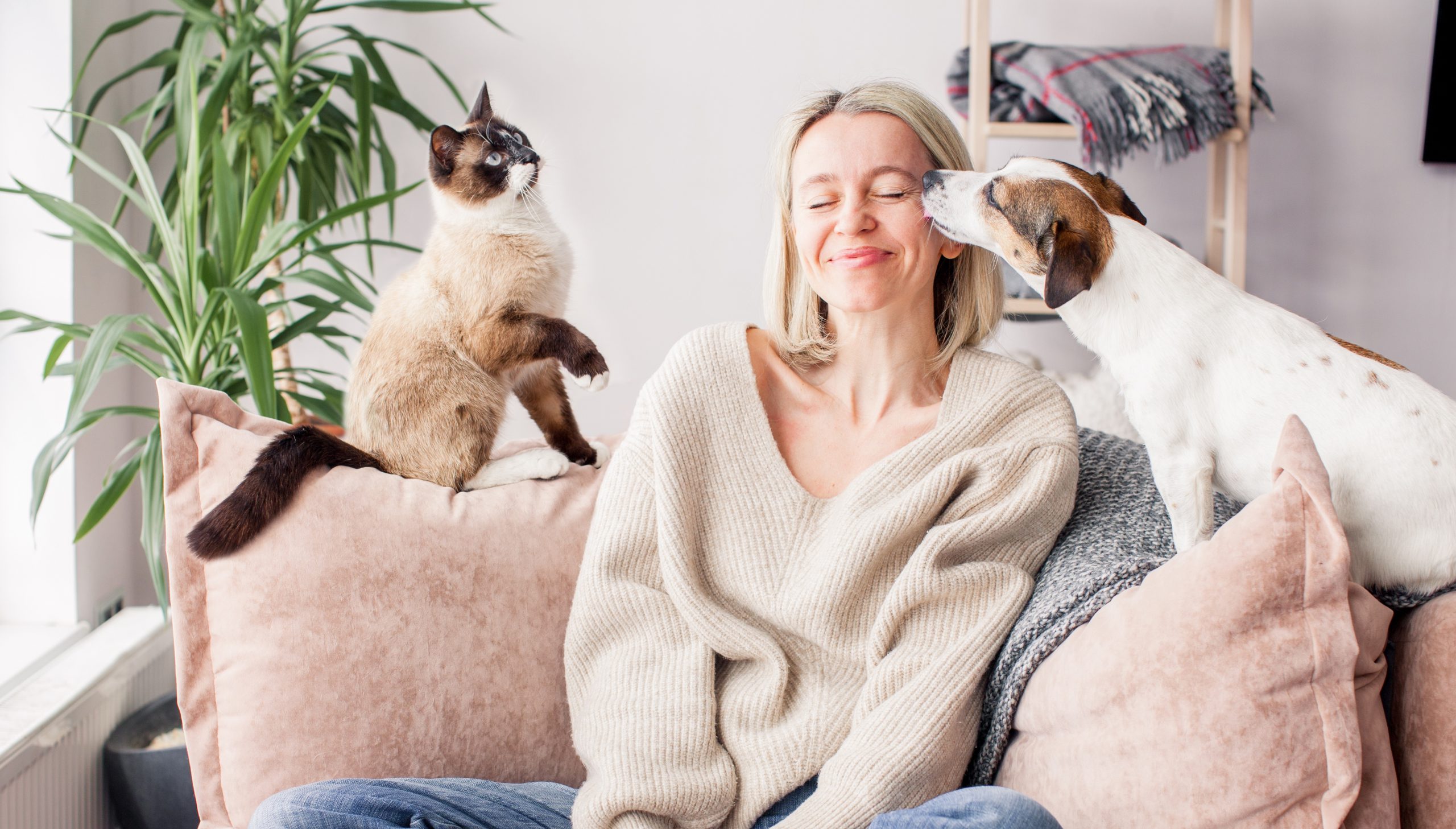 How to Celebrate International Cat Day and National Dog Day ...